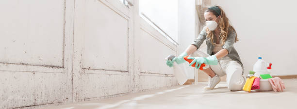 Mold Documentation for Insurance Claims in Villa Ridge, MO